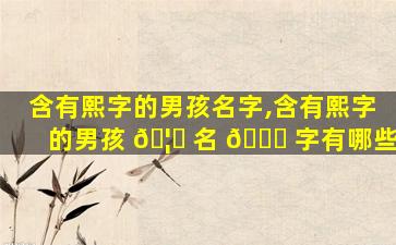 含有熙字的男孩名字,含有熙字的男孩 🦈 名 🐘 字有哪些
